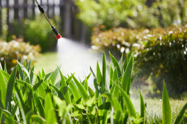 24/7 Emergency Termite Control experts in Oak Forest, IL
