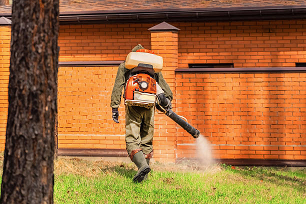 Trusted Rodent Control service in Oak Forest, IL - Nex Pest Control